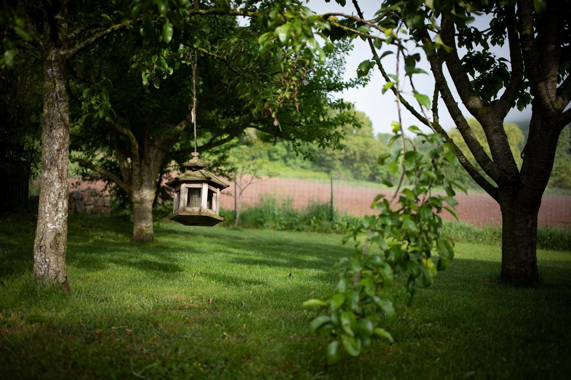 Le Chat Blanc Versols-et-Lapeyre Exterior photo